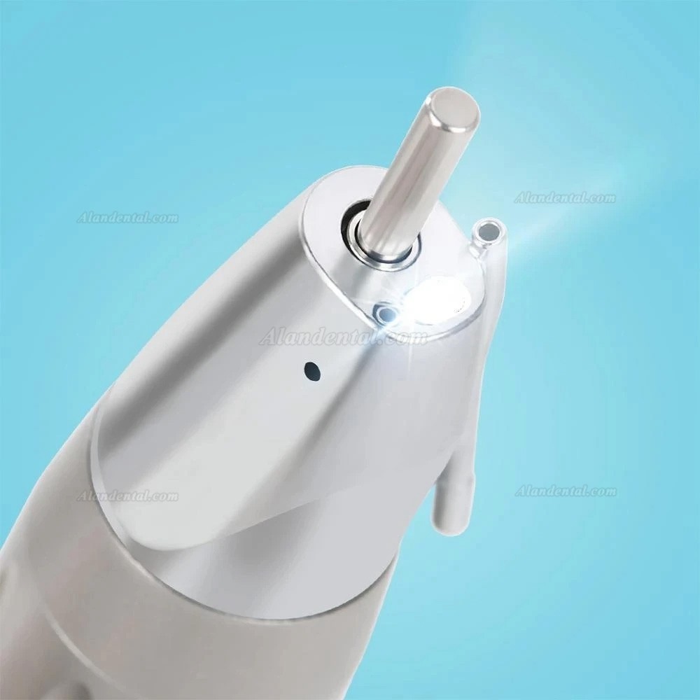 Westcode Dental Fiber Optic Straight Nose Handpiece (E-Type,External Water)